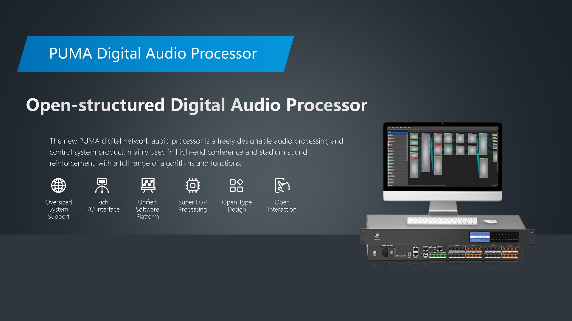 PUMA Digital Audio Processor